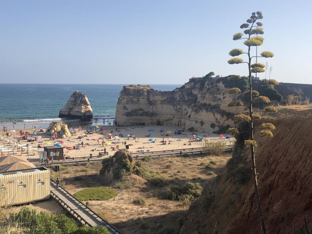 Algarve Ocean Garden Apartment Portimão Zewnętrze zdjęcie